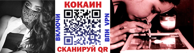 Cocaine Fish Scale  Купить закладки  Данилов 